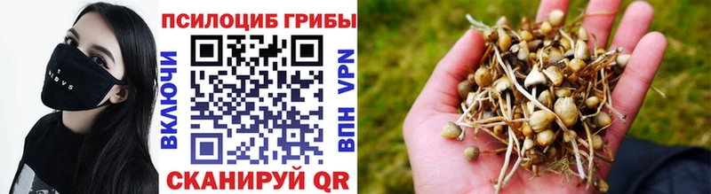 Галлюциногенные грибы Cubensis  shop Telegram  Таганрог  продажа наркотиков 
