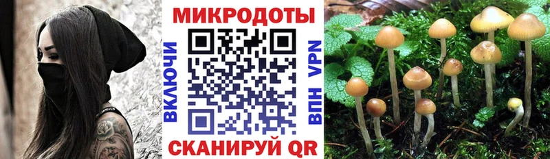 Псилоцибиновые грибы Psilocybe Таганрог